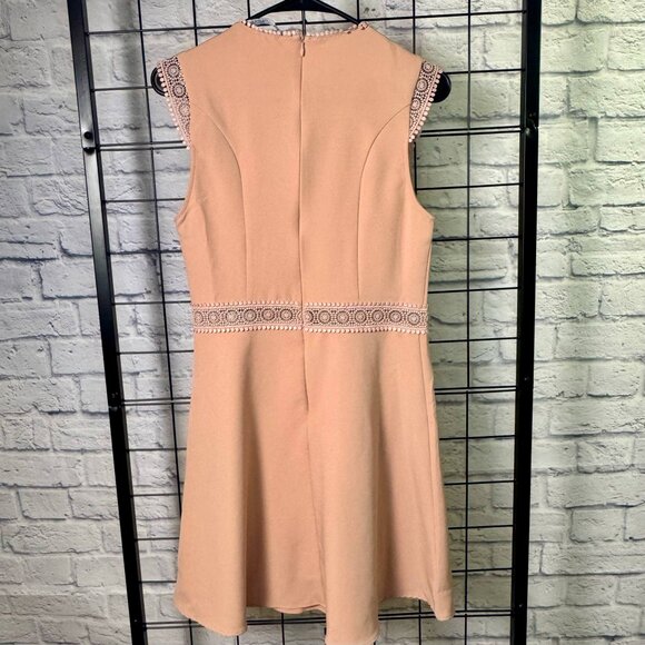 ZARA Blush Pink Lace Yoke Sleeveless Fit & Flare Dress | Medium - Picture 8 of 9